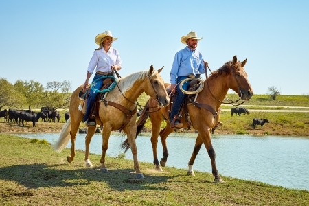 Superior Customer Service